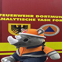 IMG_1138.jpeg